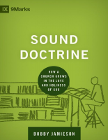 Bobby_Jamieson_Sound_Doctrine_How.epub